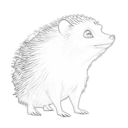 Spike – Vorschau